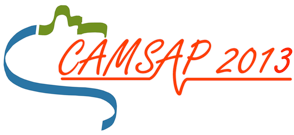 CAMSAP 2013 logo