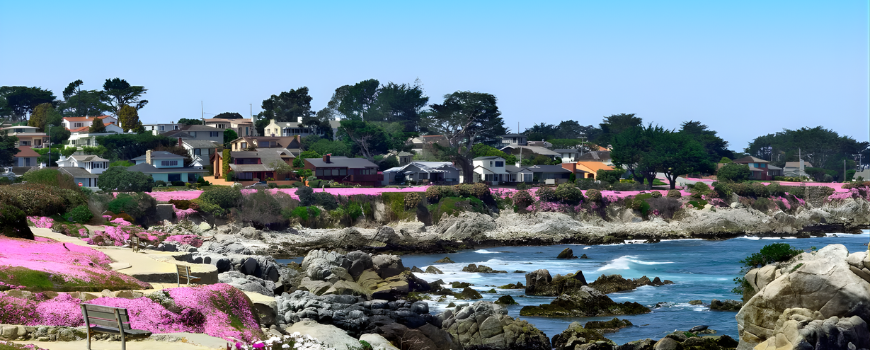 Image of Asilomar Beach in Pacific Grove, Ca