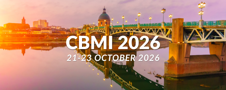 Image of Toulouse at Sunset