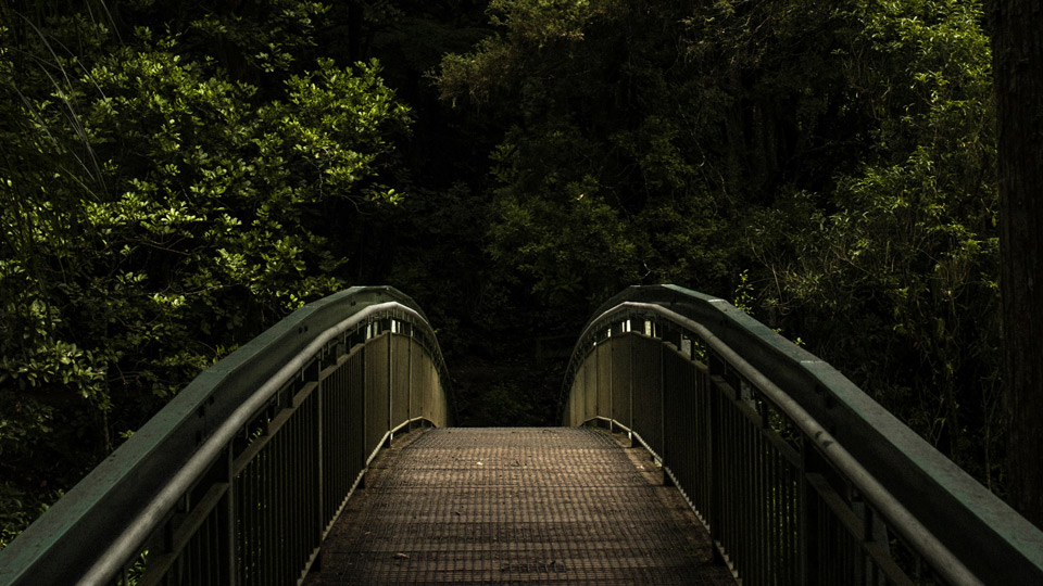 Bridge