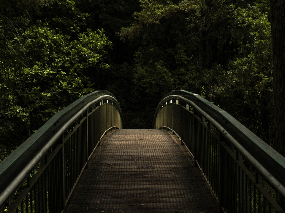 Bridge
