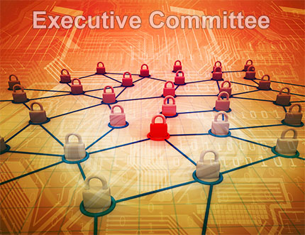 Executive Committee Supplemental Material page image