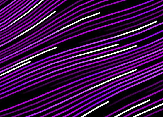 Photo by Logan Voss on Unsplash