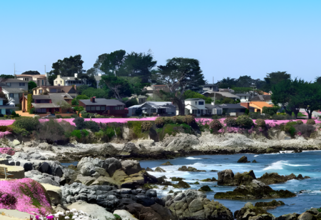 Image of Asilomar Beach in Pacific Grove, Ca