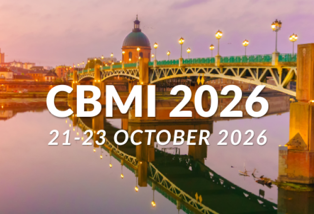 Image of Toulouse at Sunset