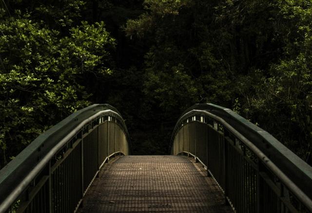 Bridge