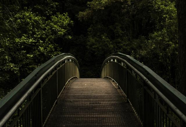 Bridge