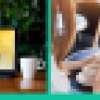 Webinars and blog posts